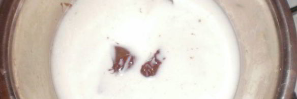 дынно-шоколадный йогуртовый пудинг