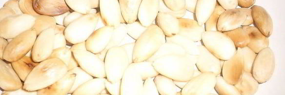 испанские шоколадные конфеты катаниас