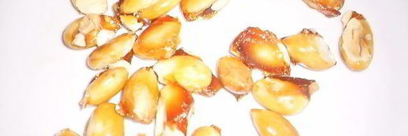 испанские шоколадные конфеты катаниас