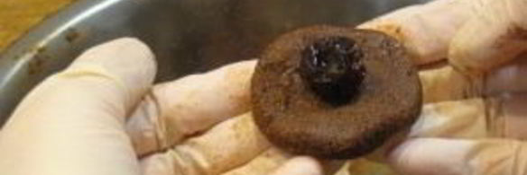 конфеты из сухарей и меда