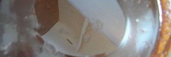 конфеты шоколадное сердце