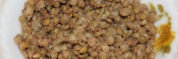 шоколадные конфеты из чечевицы