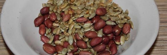 шоколадные конфеты из чечевицы