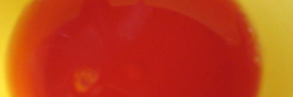 корзиночки фрукты в малиновом желе