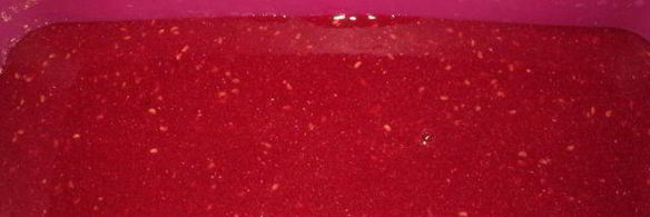 малиново-шоколадный семифредо