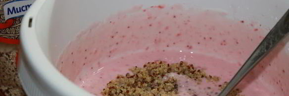 домашнее йогуртовое мороженое с клубникой и киноа