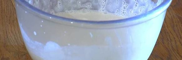 йогуртовое мороженое с запеченными абрикосами