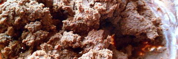 мангово-черничное мороженое с конфетами рафаэлло с шоколадными шариками