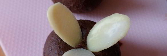 мангово-черничное мороженое с конфетами рафаэлло с шоколадными шариками