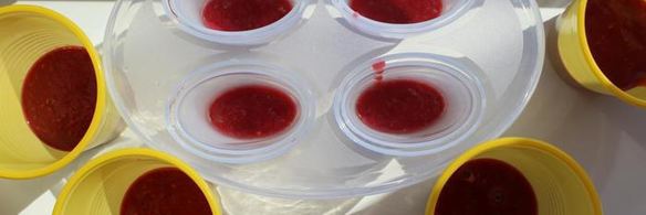 молочное мороженое с малиновым конфи