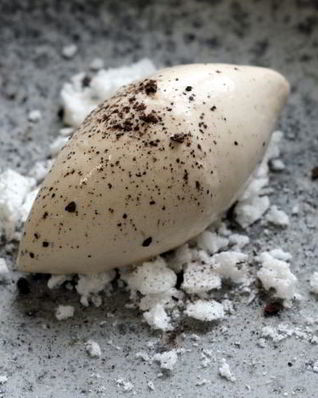 Мороженое Иван-Чай