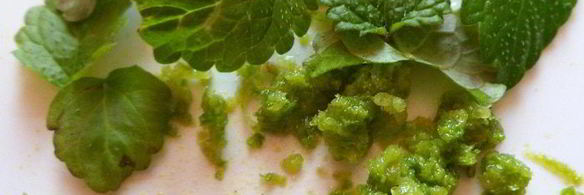 мороженое из авокадо