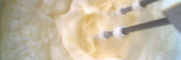 мороженоерижская классика