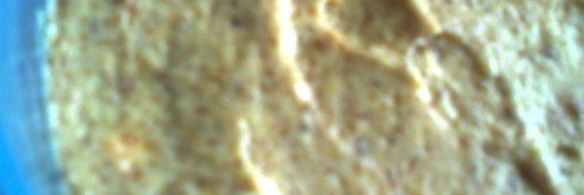 мороженоерижская классика