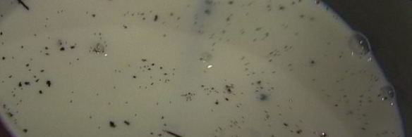 ванильное мороженое