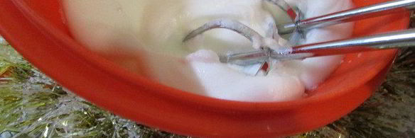 мусс новогодний