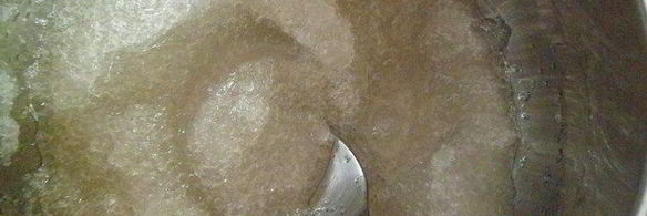 персиковый мусс-желе с виноградом и лепестками миндаля