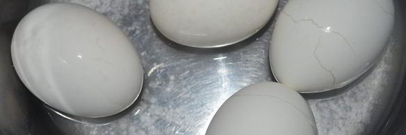 праздничный цукотто из форели с нежнейшим креветочным муссом, огурцом и сливочным кремом