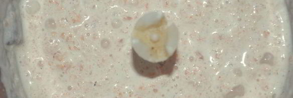 праздничный цукотто из форели с нежнейшим креветочным муссом, огурцом и сливочным кремом