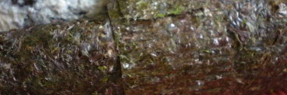 рыбный террин с креветочным муссом на подушечке из брокколи