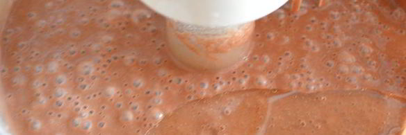 тирамису с кокосовым муссом, малиновым желе и черникой