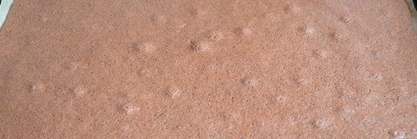 тирамису с кокосовым муссом, малиновым желе и черникой