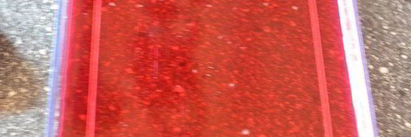 тирамису с кокосовым муссом, малиновым желе и черникой