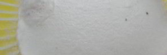 кулич на желтках