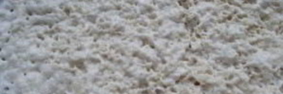 кулич на желтках