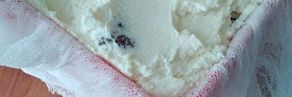 творожная пасха с цукатами без яиц