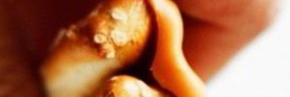 шоколадный батончик с карамелью