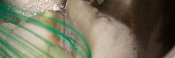 крабовое суфле