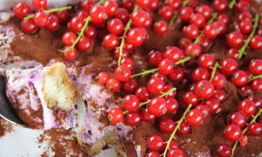 Рецепт тирамису с лесными ягодами