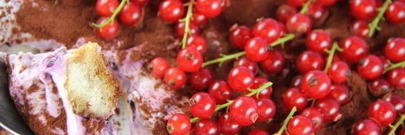 тирамису с лесными ягодами