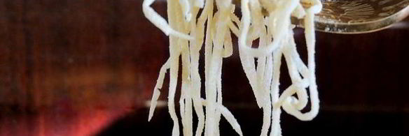 домашняя лапша двух видов