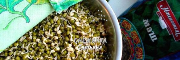 фрикадельки из маша с банановым соусом в капустных лепестках