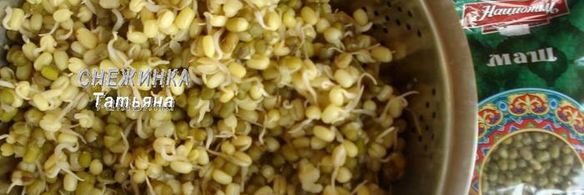 фрикадельки из маша с банановым соусом в капустных лепестках