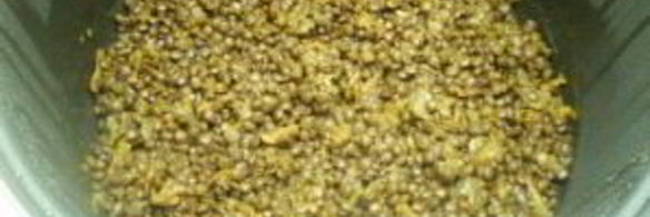 гарнир из чечевицы