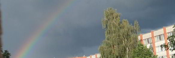 рис с овощами и ветчиной