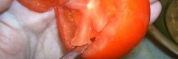 долма из овощей