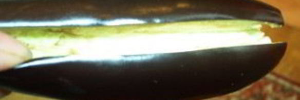 долма из овощей