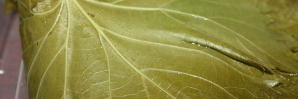 долма из свинины с яблоками