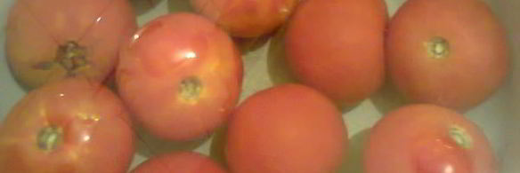 долма с баклажаном и болгарским перцем