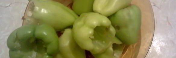 долма с баклажаном и болгарским перцем