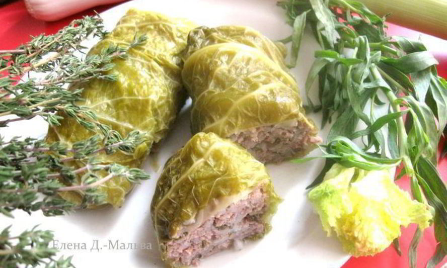 Рецепт голубцов из прованса