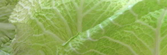 голубцы из прованса