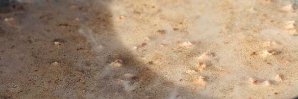 голубцы из савойской капусты богатые