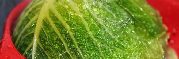 голубцы из савойской капусты богатые