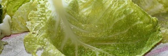 голубцы из савойской капусты богатые