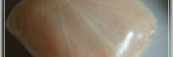 голубцы по-корейски